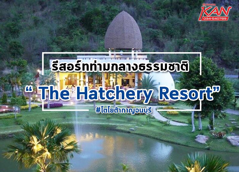 The-Hatchery-Resort-800x577 มาสัมผัสธรรมชาติ กับ "The Hatchery Resort"