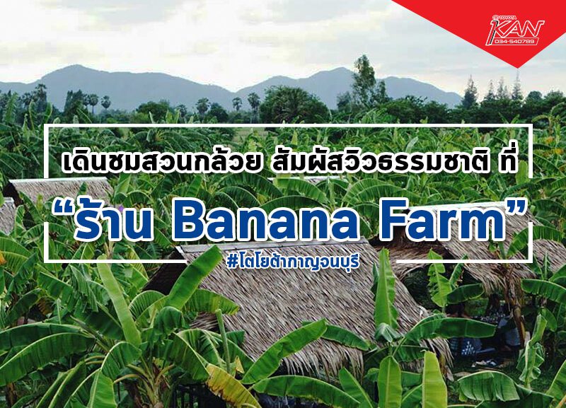 -800x577 Banana Farm เดินชมสวนกล้วย สัมผัสวิวธรรมชาติ