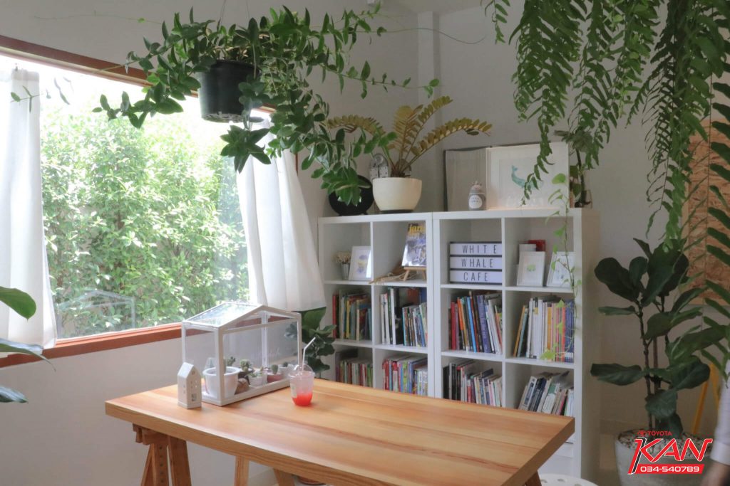 แต่งๆ_๑๙๐๖๑๒_0006-1024x683 white whale coffee & craft ร้านกาแฟอินดี้